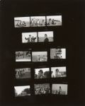 The Beatles Original Photograph Contact Sheet by Bruce McBroom